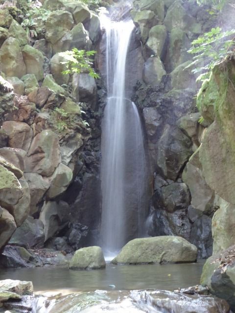 イメージ 12