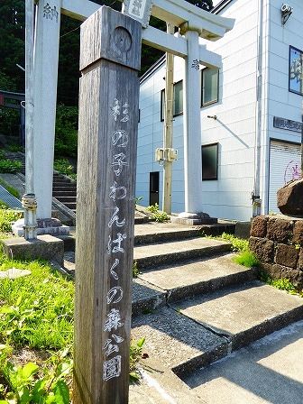イメージ 3