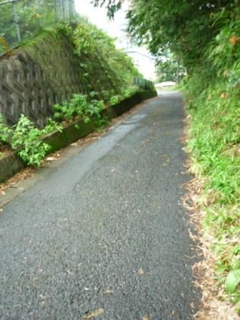 イメージ 9