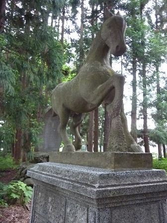 イメージ 10