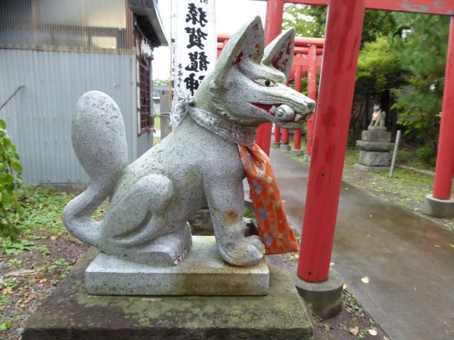 イメージ 22