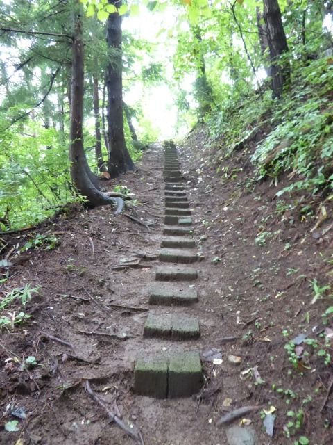イメージ 18