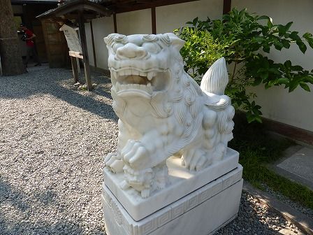 イメージ 47