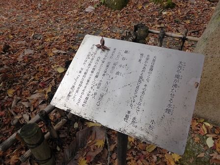 イメージ 18