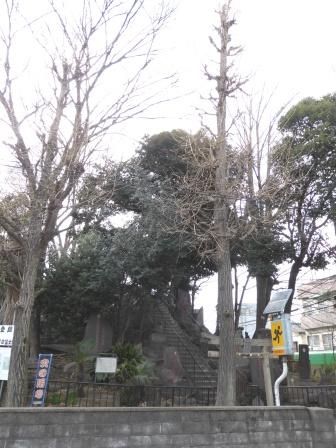 イメージ 7
