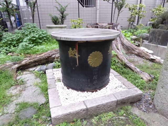 イメージ 7