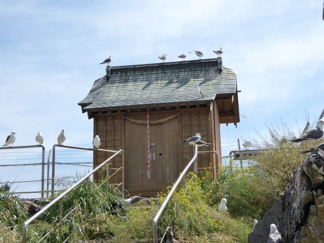 イメージ 8