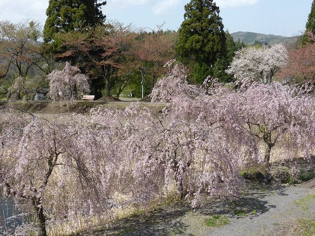 イメージ 5