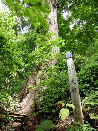 イメージ 90