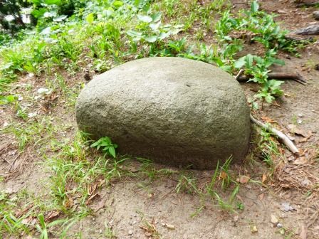 イメージ 13