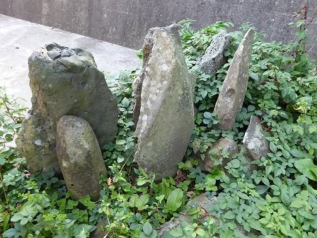 イメージ 18