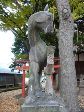 イメージ 20