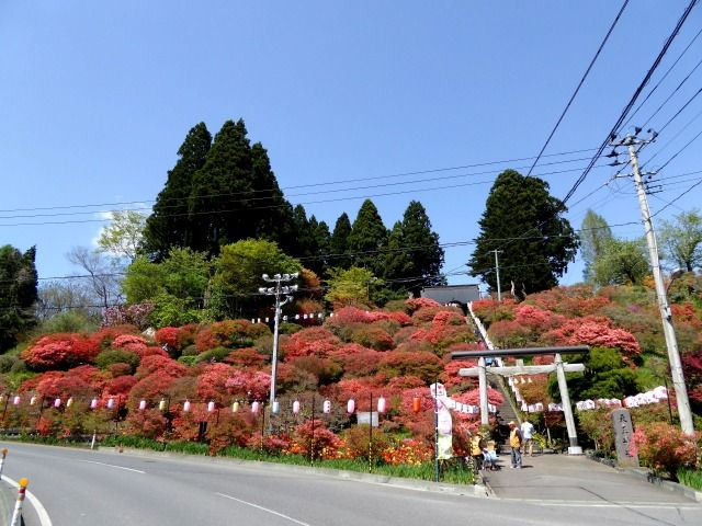 イメージ 2
