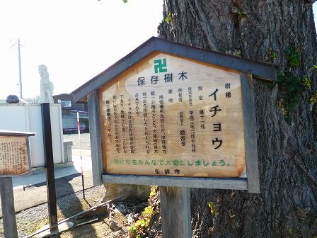 イメージ 12