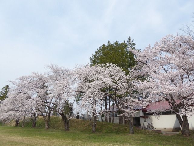 イメージ 31