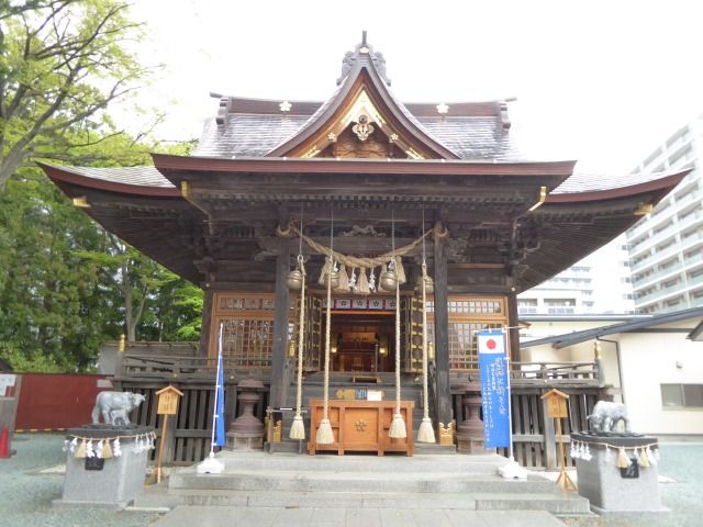 イメージ 12