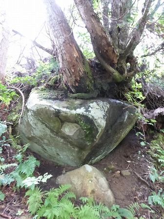 イメージ 9