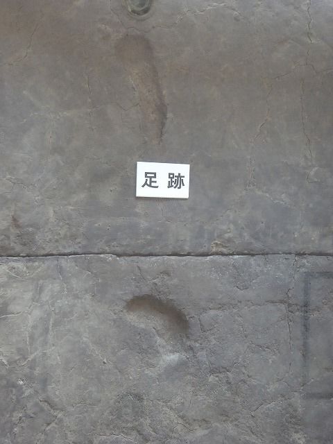 イメージ 57
