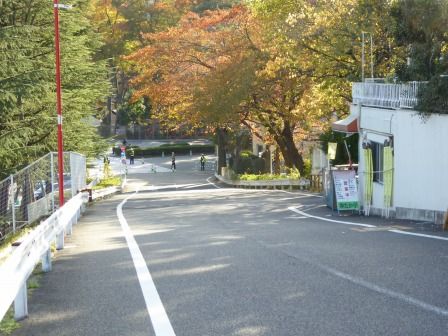 イメージ 4