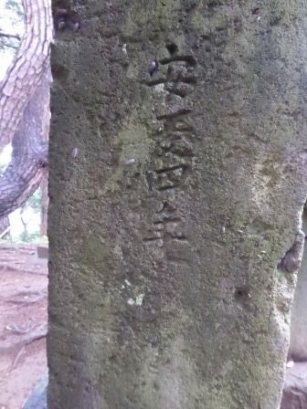 イメージ 25