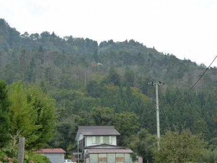 イメージ 17