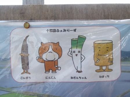 イメージ 13