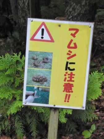 イメージ 17