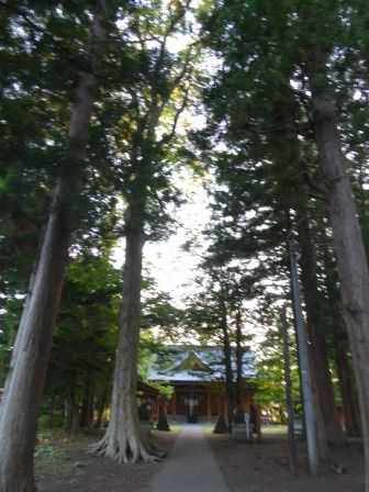 イメージ 12