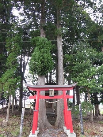 イメージ 1