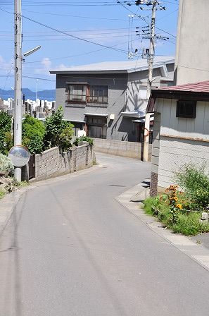 イメージ 7