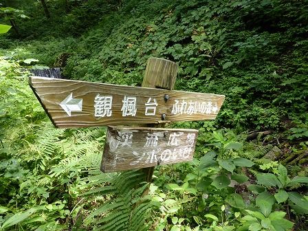 イメージ 96