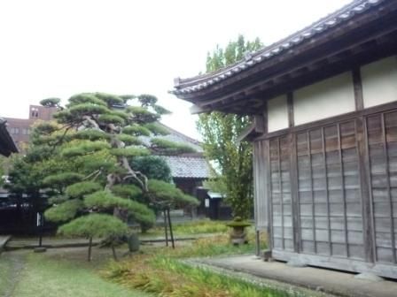 イメージ 25