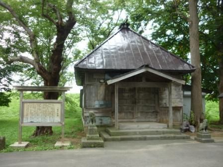 イメージ 10