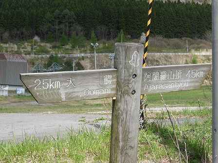 イメージ 8