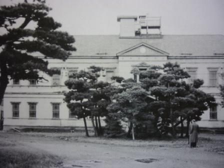 イメージ 11