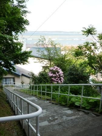 イメージ 13