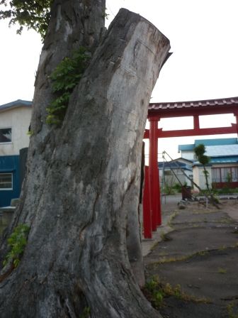 イメージ 20