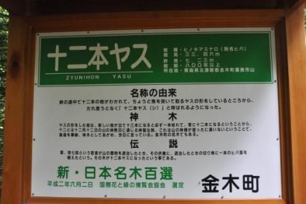 イメージ 4