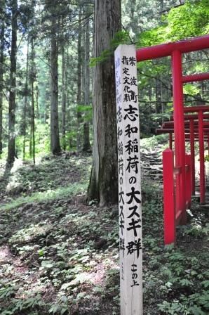 イメージ 20