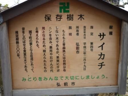 イメージ 9