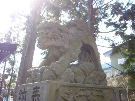イメージ 8