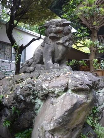 イメージ 17