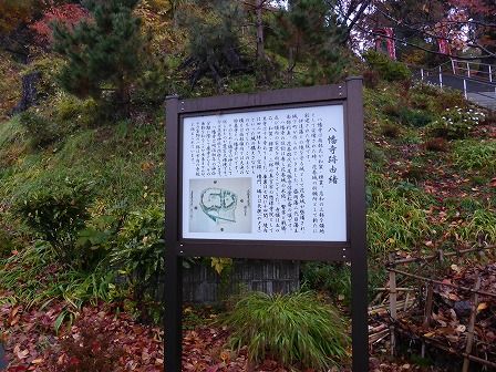 イメージ 50