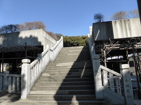イメージ 14