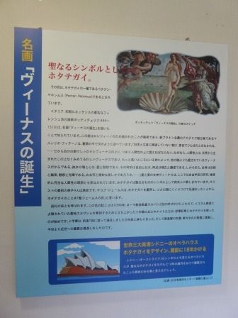 イメージ 16