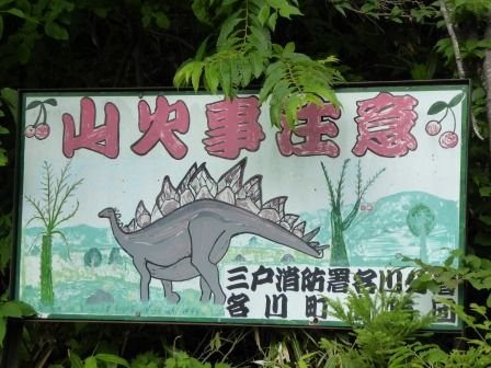 イメージ 26