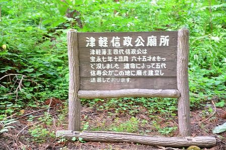 イメージ 6