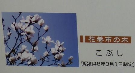 イメージ 42