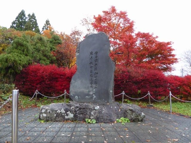 イメージ 5