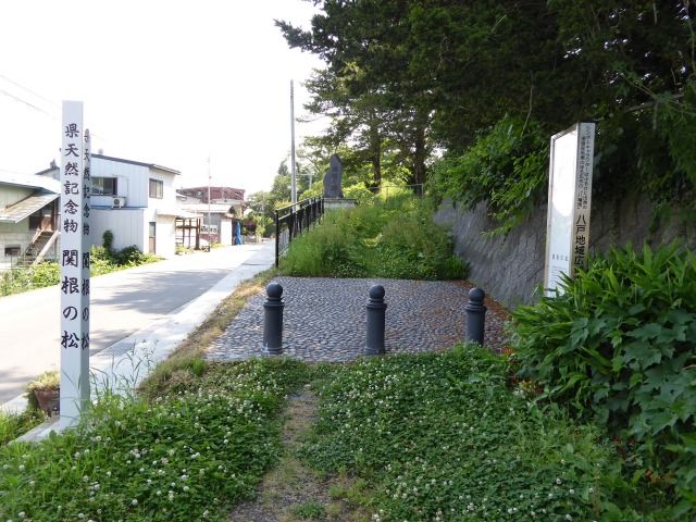 イメージ 15